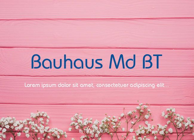 Bauhaus Md BT example