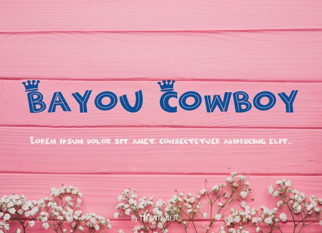 Bayou Cowboy example