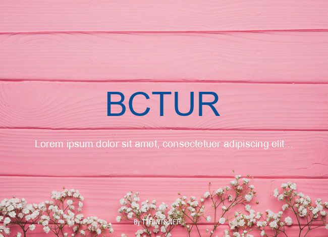 BCTUR example