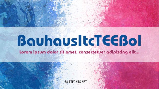 BauhausItcTEEBol example