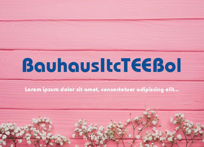 BauhausItcTEEBol example