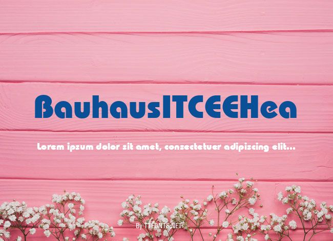 BauhausITCEEHea example