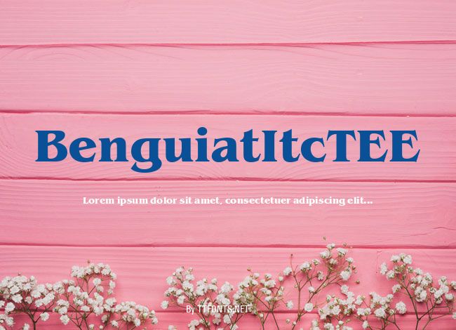 BenguiatItcTEE example