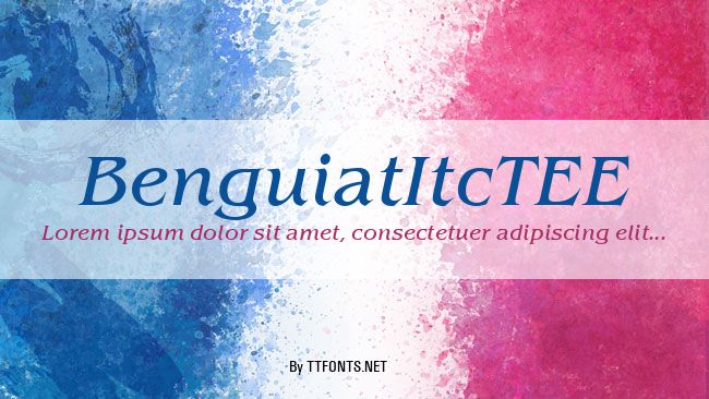 BenguiatItcTEE example