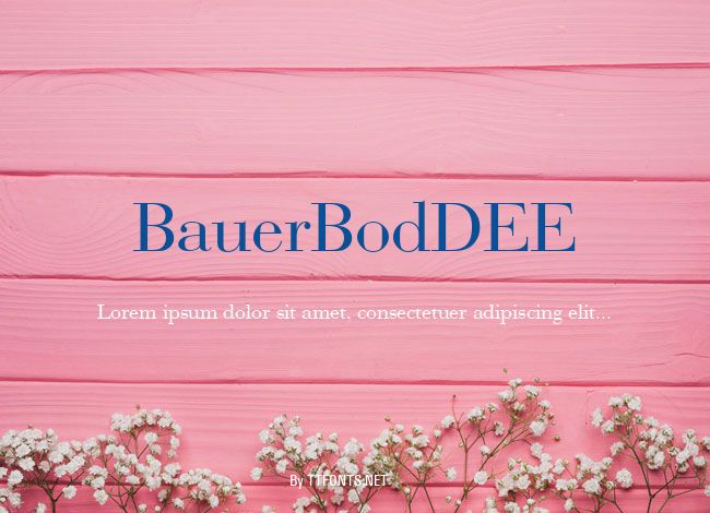 BauerBodDEE example