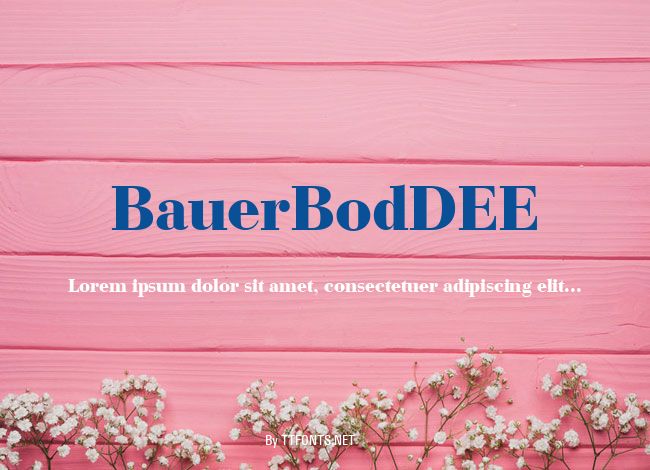 BauerBodDEE example
