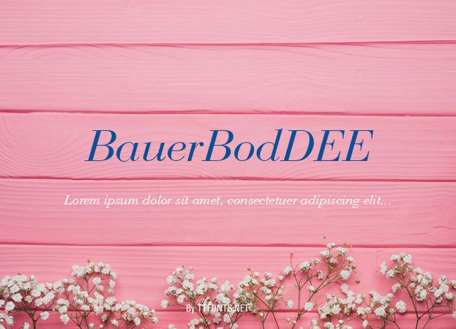 BauerBodDEE example