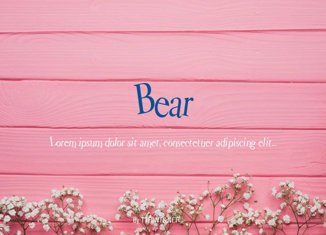 Bear example