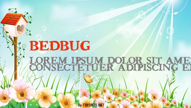 Bedbug example