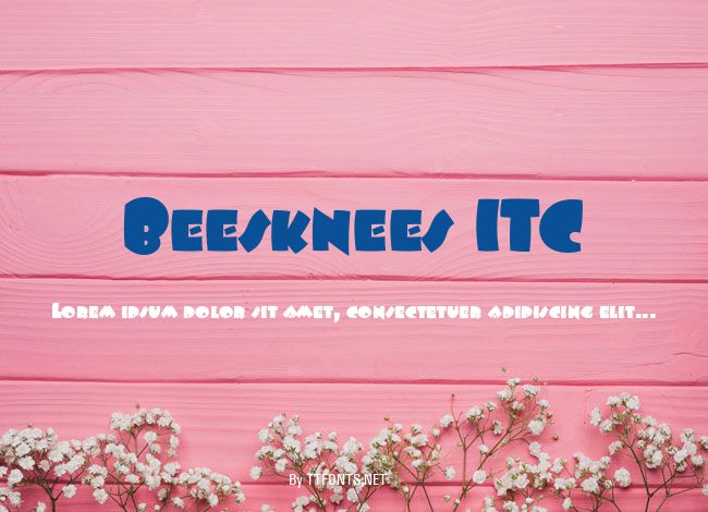 Beesknees ITC example