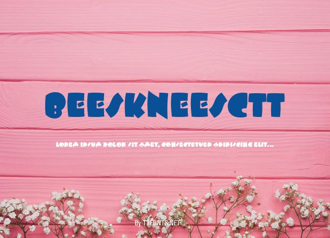 BeeskneesCTT example