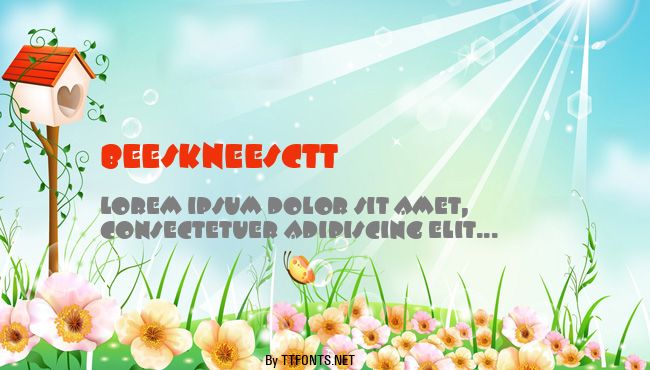 BeeskneesCTT example