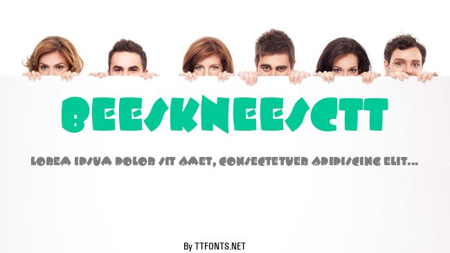 BeeskneesCTT example