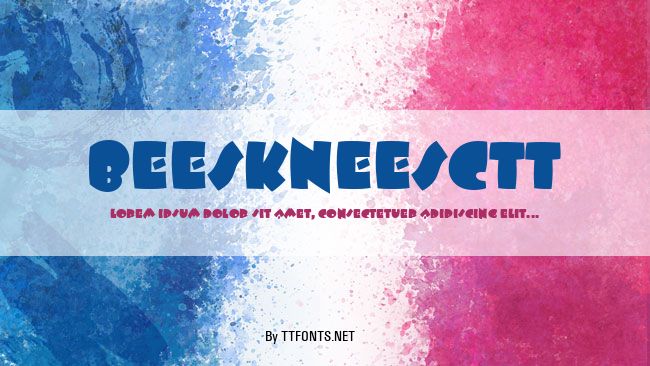 BeeskneesCTT example