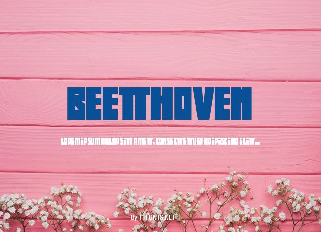 Beethoven example