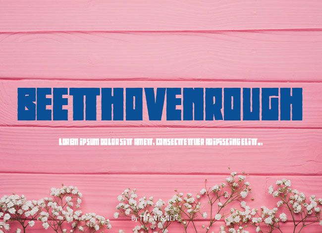 BeethovenRough example