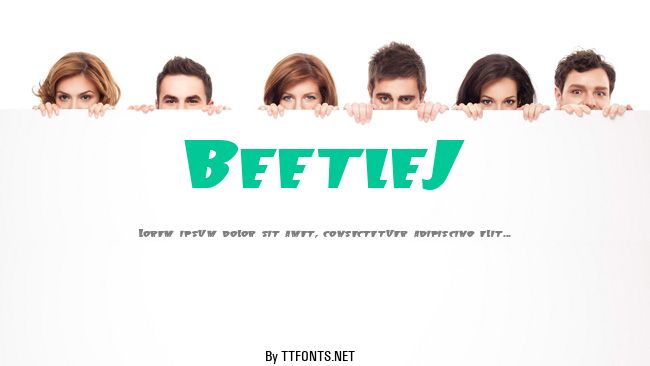 BeetleJ example