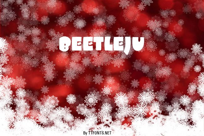 BEETLEJU example