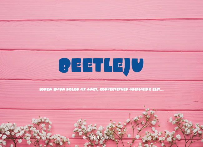 BEETLEJU example
