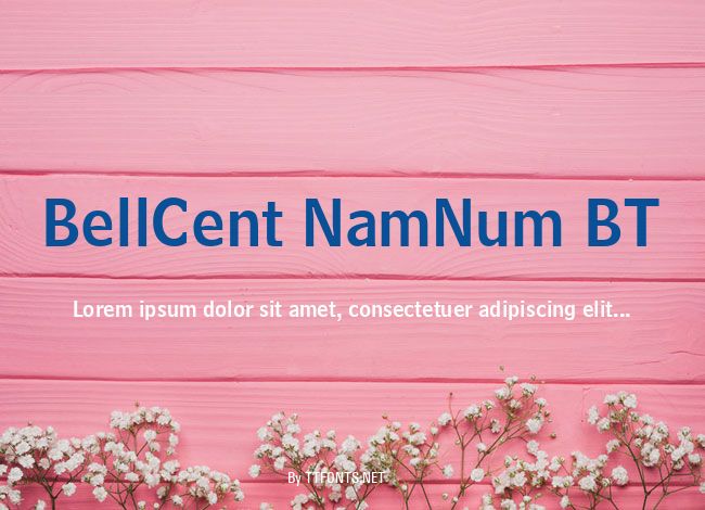 BellCent NamNum BT example