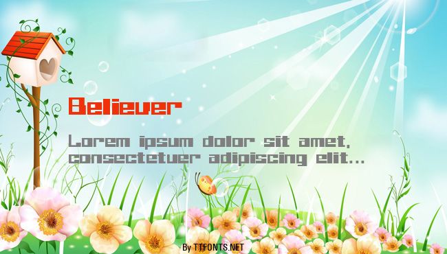 Believer example