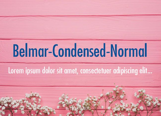 Belmar-Condensed-Normal example