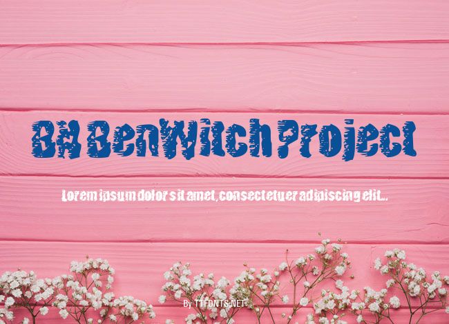 BN BenWitch Project example