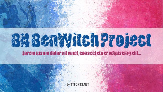 BN BenWitch Project example
