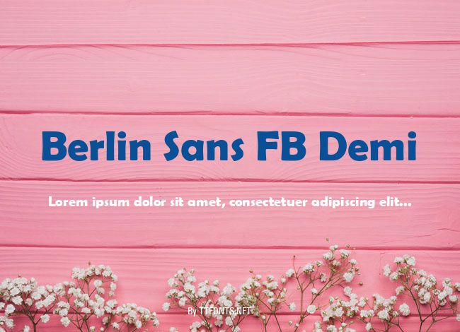 Berlin Sans FB Demi example