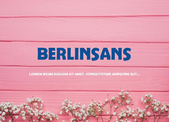 Berlinsans example