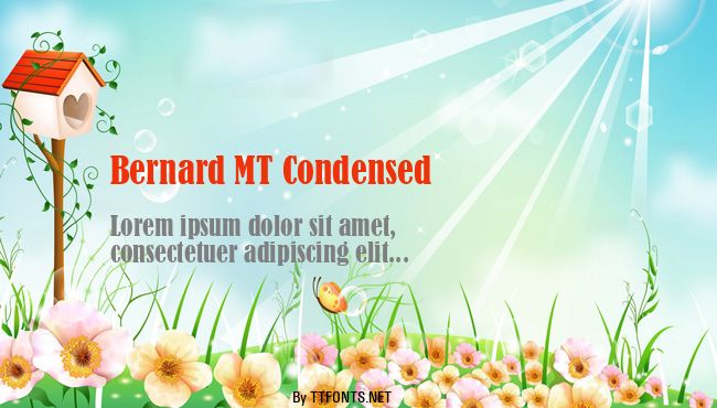 Bernard MT Condensed example