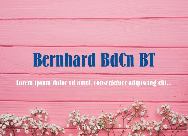 Bernhard BdCn BT example