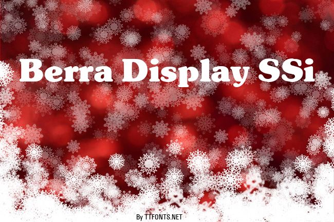 Berra Display SSi example