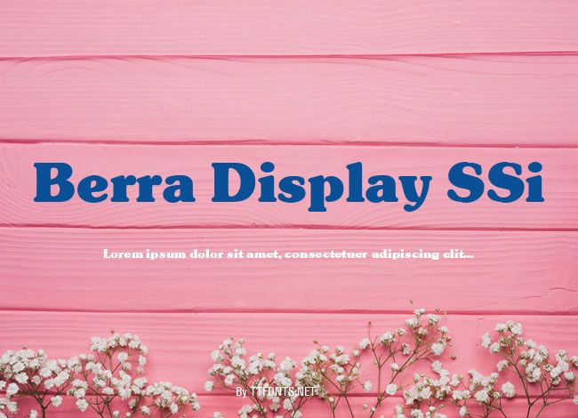 Berra Display SSi example