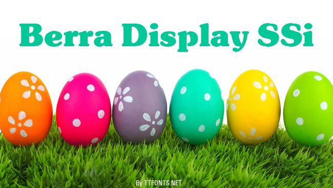 Berra Display SSi example