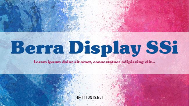 Berra Display SSi example