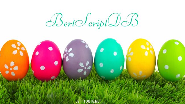 BertScriptDB example