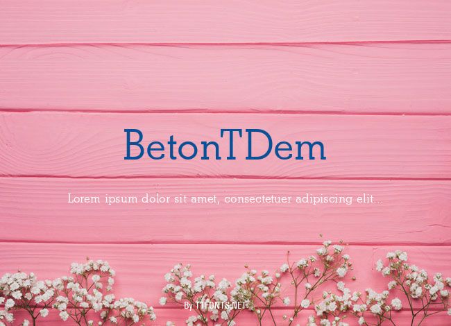 BetonTDem example