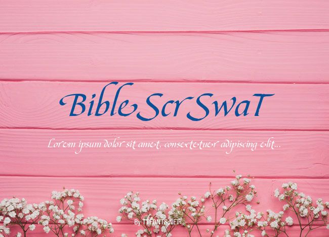 BibleScrSwaT example