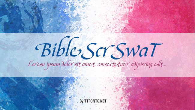 BibleScrSwaT example