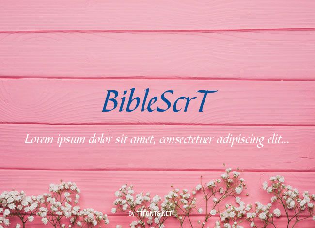BibleScrT example