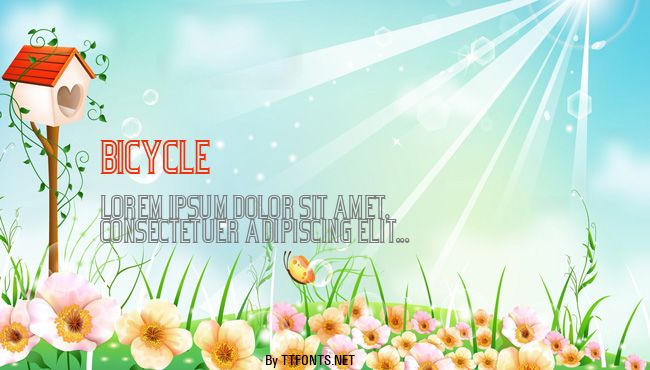 Bicycle example