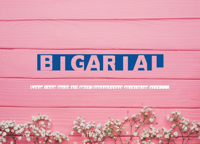 BIGARIAL example
