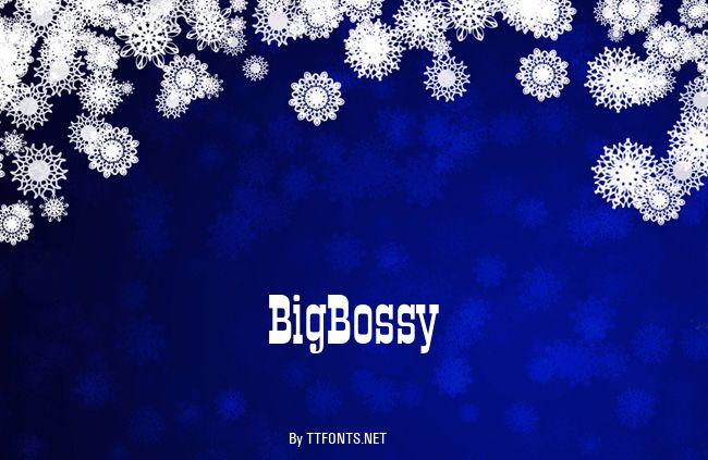 BigBossy example