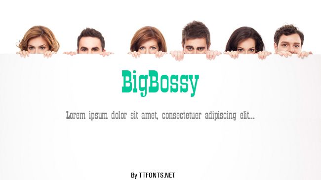 BigBossy example