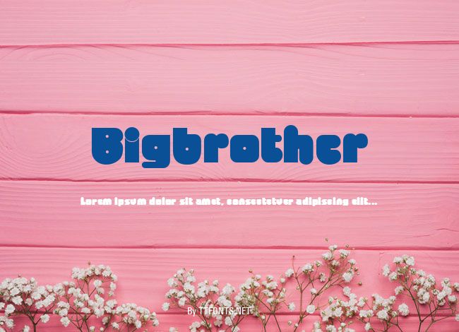 Bigbrother example