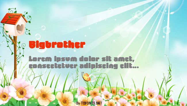Bigbrother example