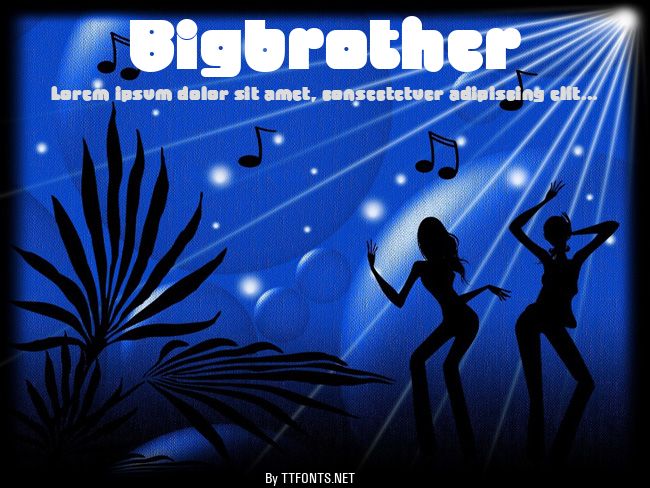 Bigbrother example