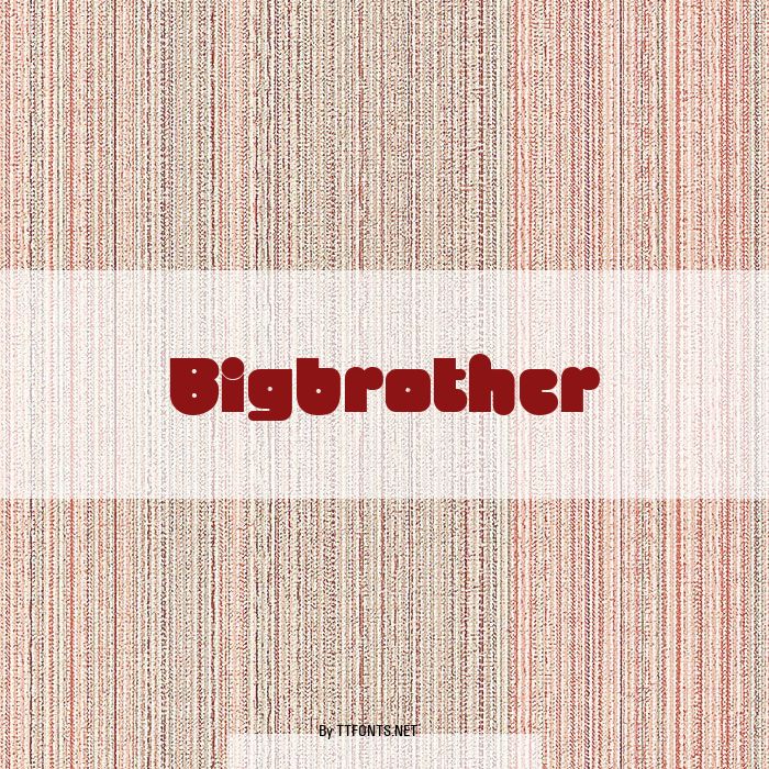 Bigbrother example