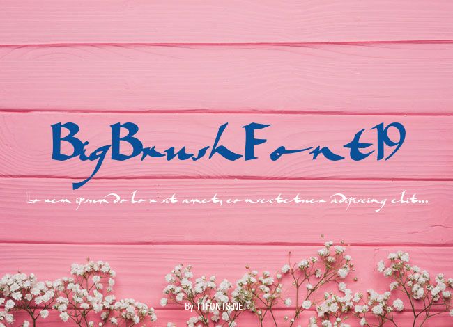 BigBrushFont19 example